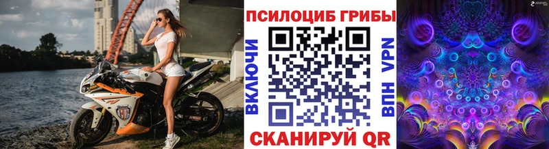 Галлюциногенные грибы Cubensis  Купить где  Дубовка 